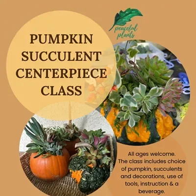 Event artwork for Pumpkin Succulent Centerpiece Class