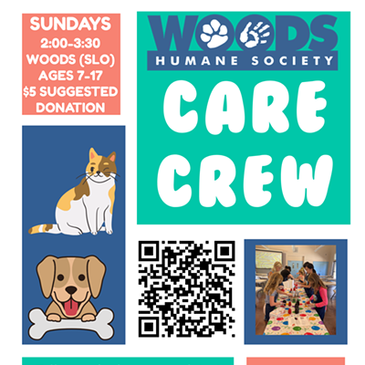 Organizer artwork for Care Crew